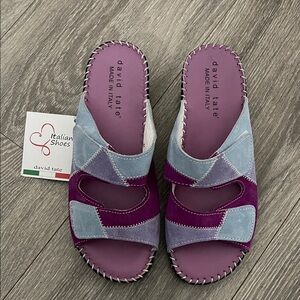 New David Tate Women's Purple and Light Blue Mules